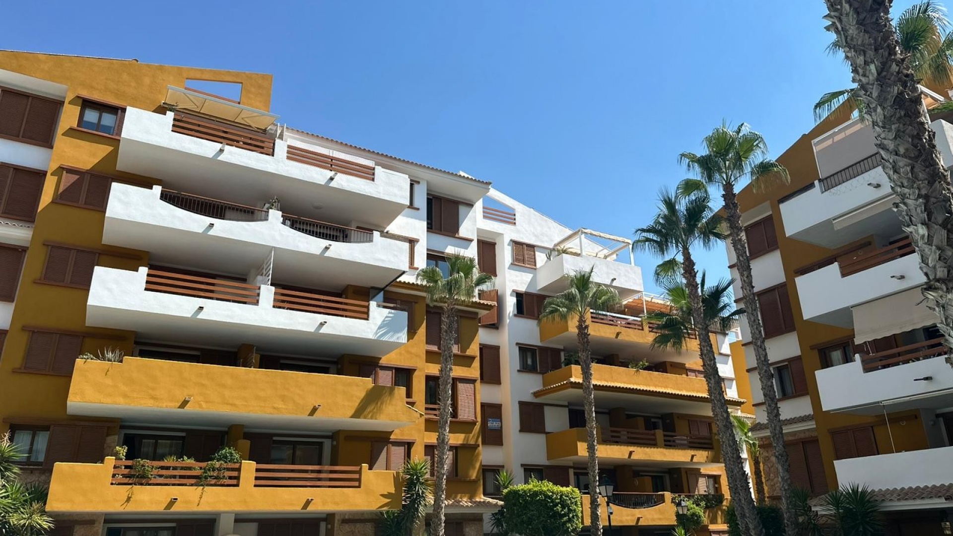 Resale - Apartment - Punta Prima - La Recoleta