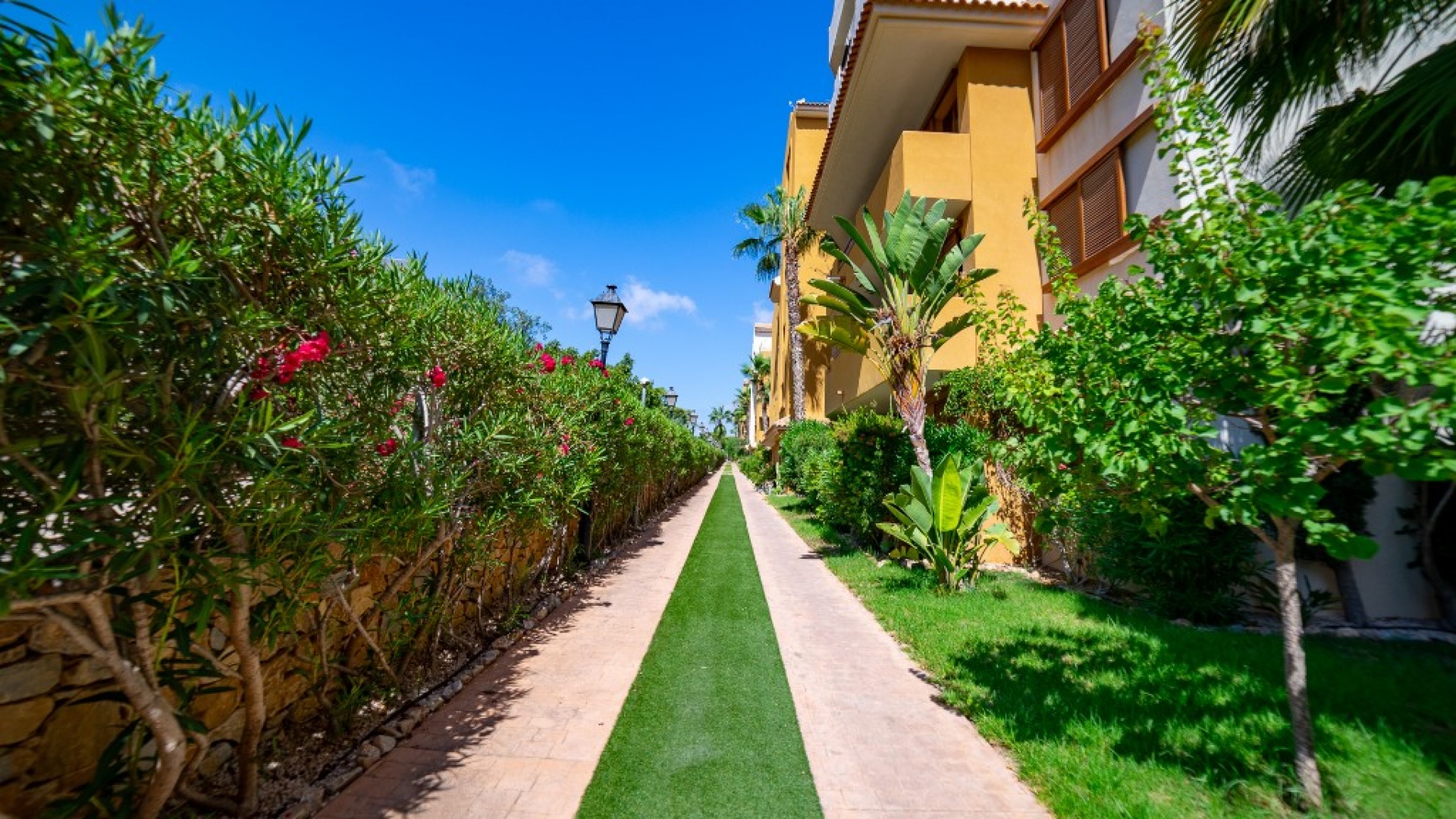 Resale - Apartment - Punta Prima - La Recoleta