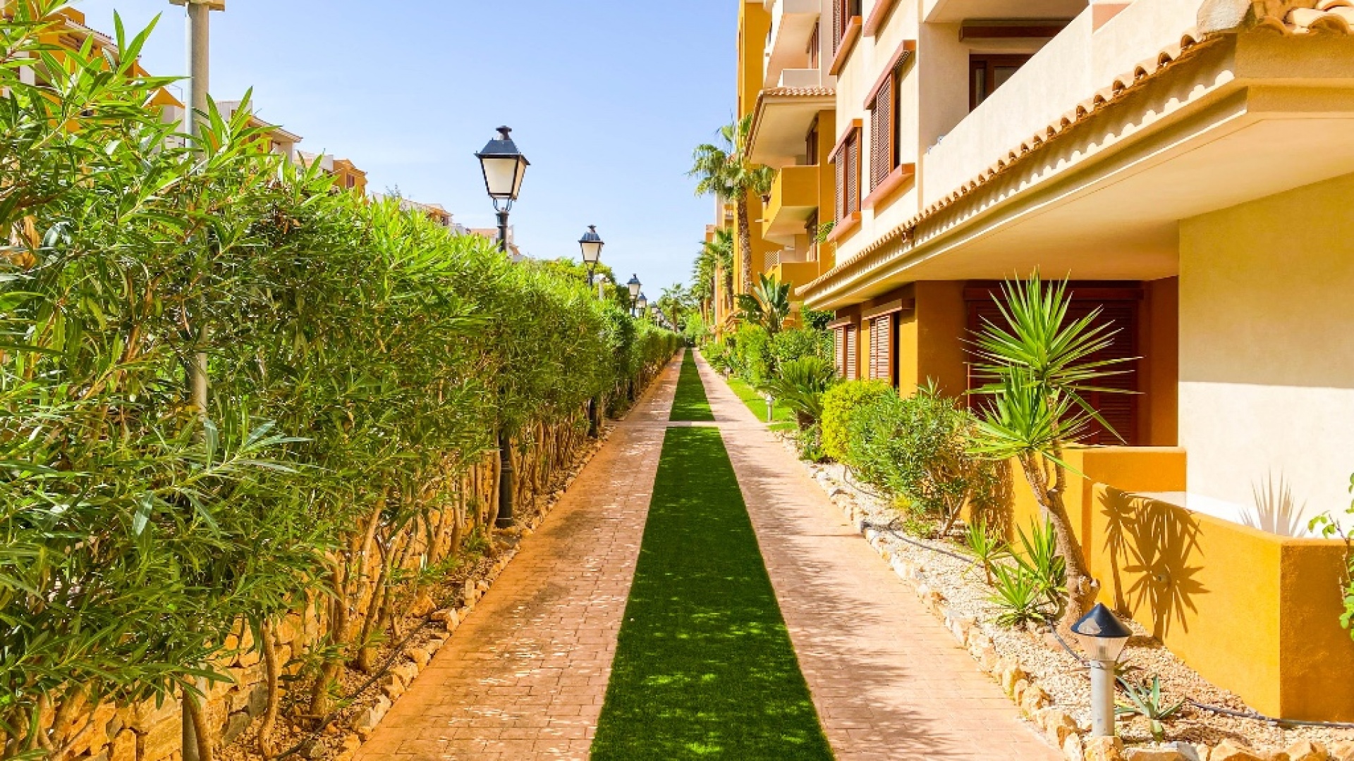 Resale - Apartment - Punta Prima - La Recoleta