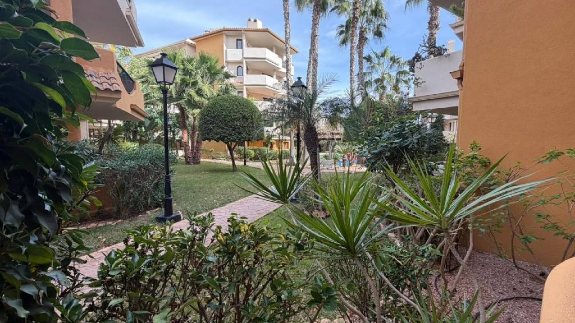 Resale - Apartment - Punta Prima - panorama park