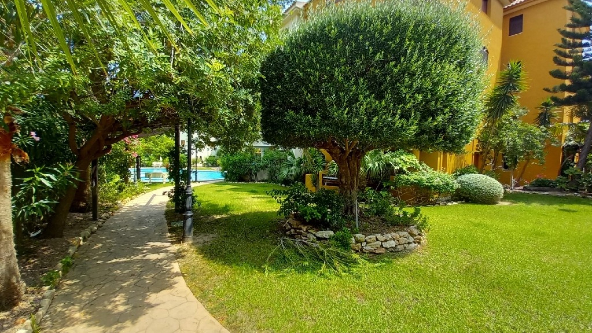 Resale - Apartment - Punta Prima - panorama park