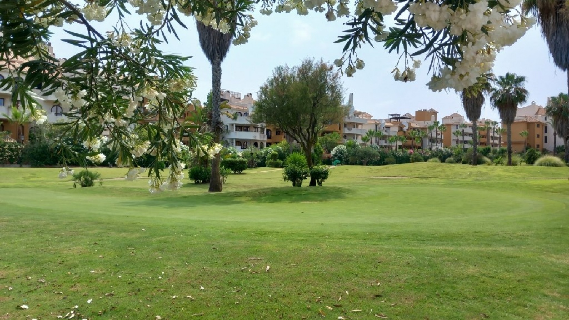 Resale - Apartment - Punta Prima - panorama park