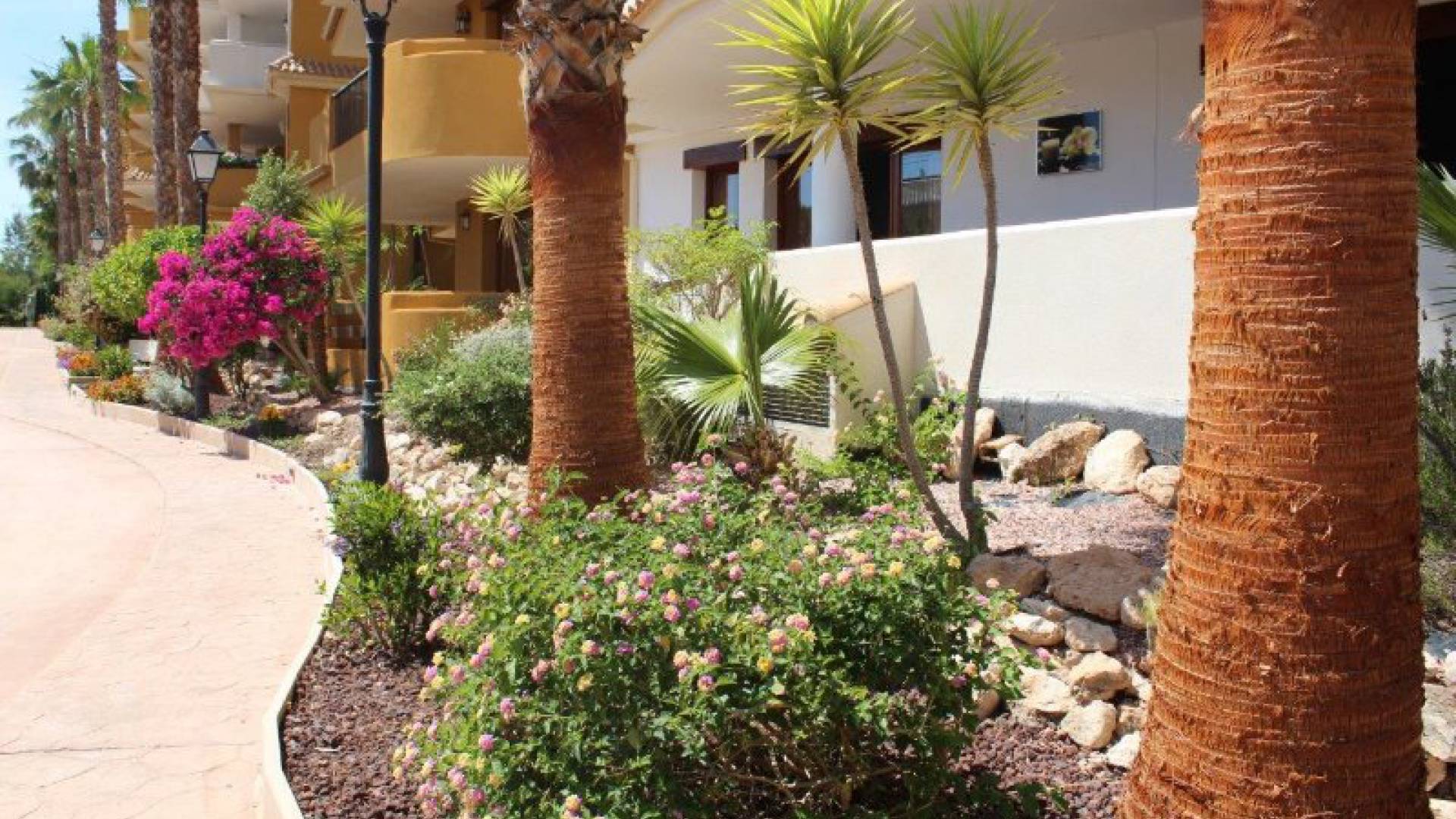 Resale - Apartment - Punta Prima - panorama park