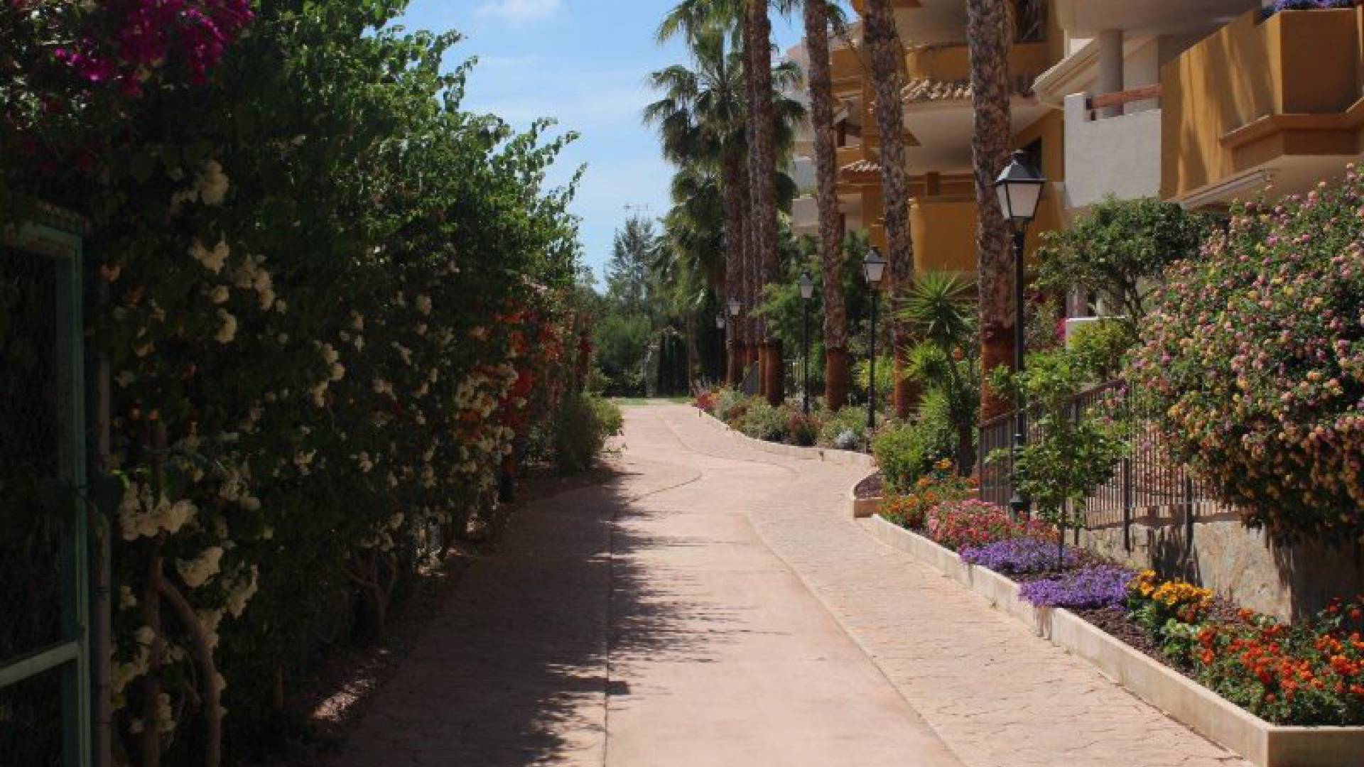 Resale - Apartment - Punta Prima - panorama park