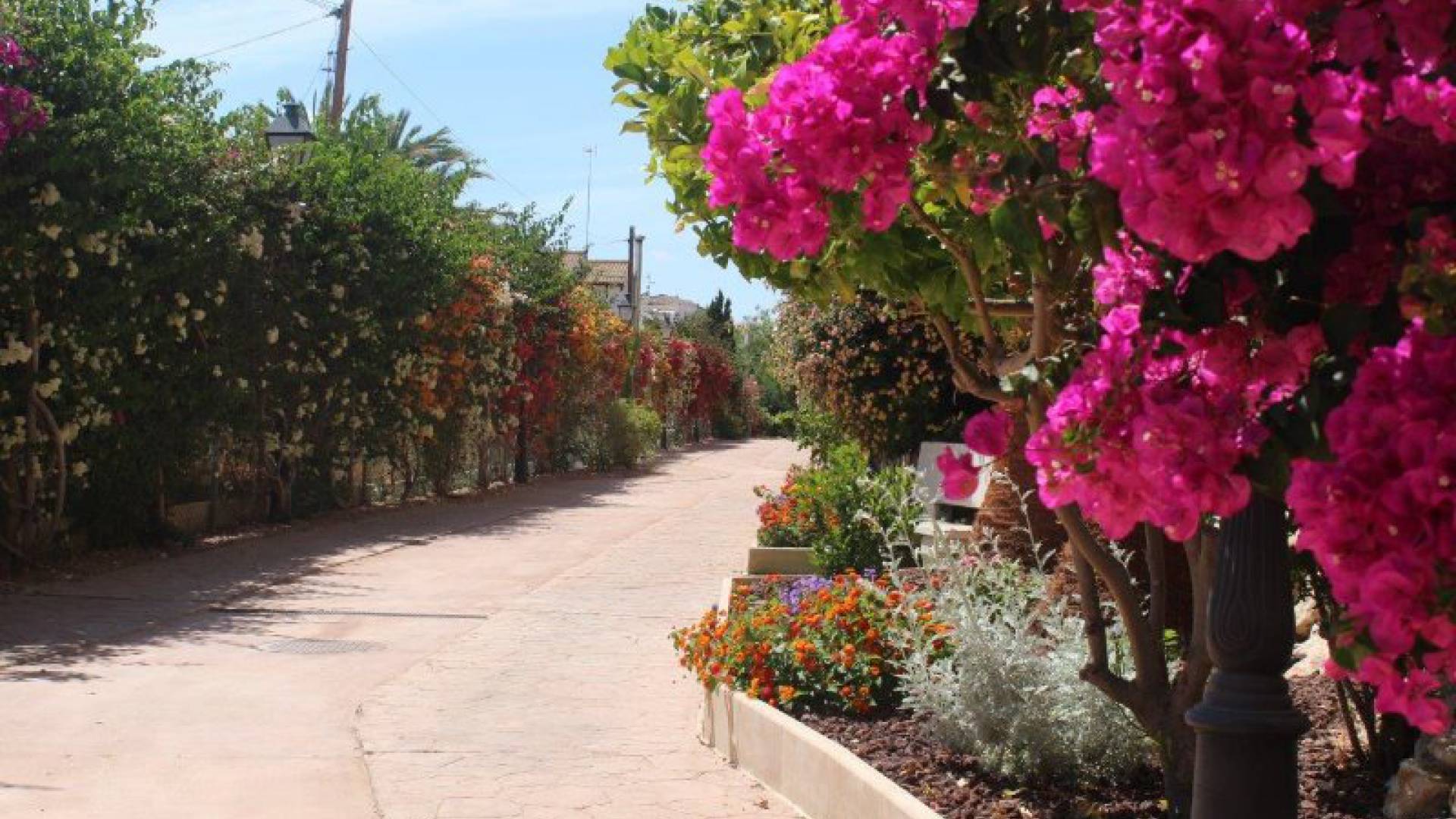 Resale - Apartment - Punta Prima - panorama park