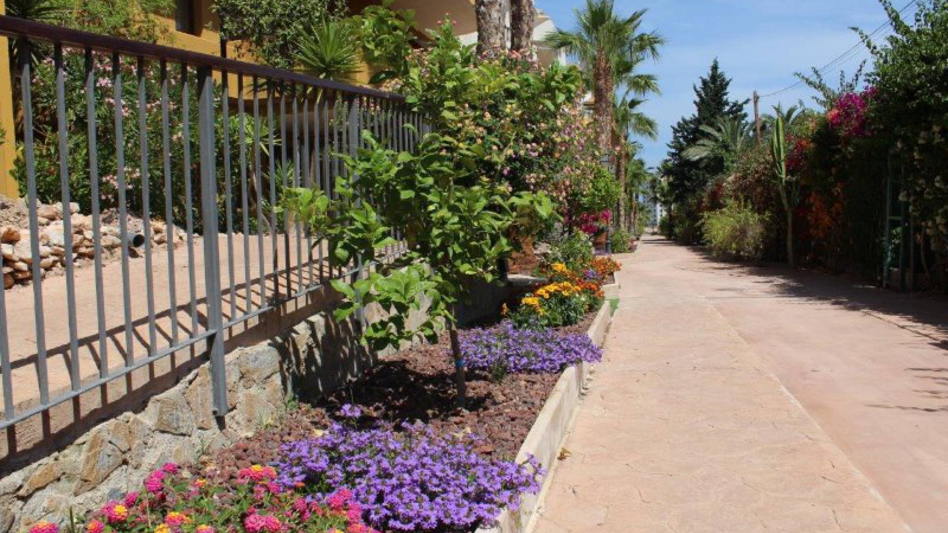 Resale - Apartment - Punta Prima - panorama park