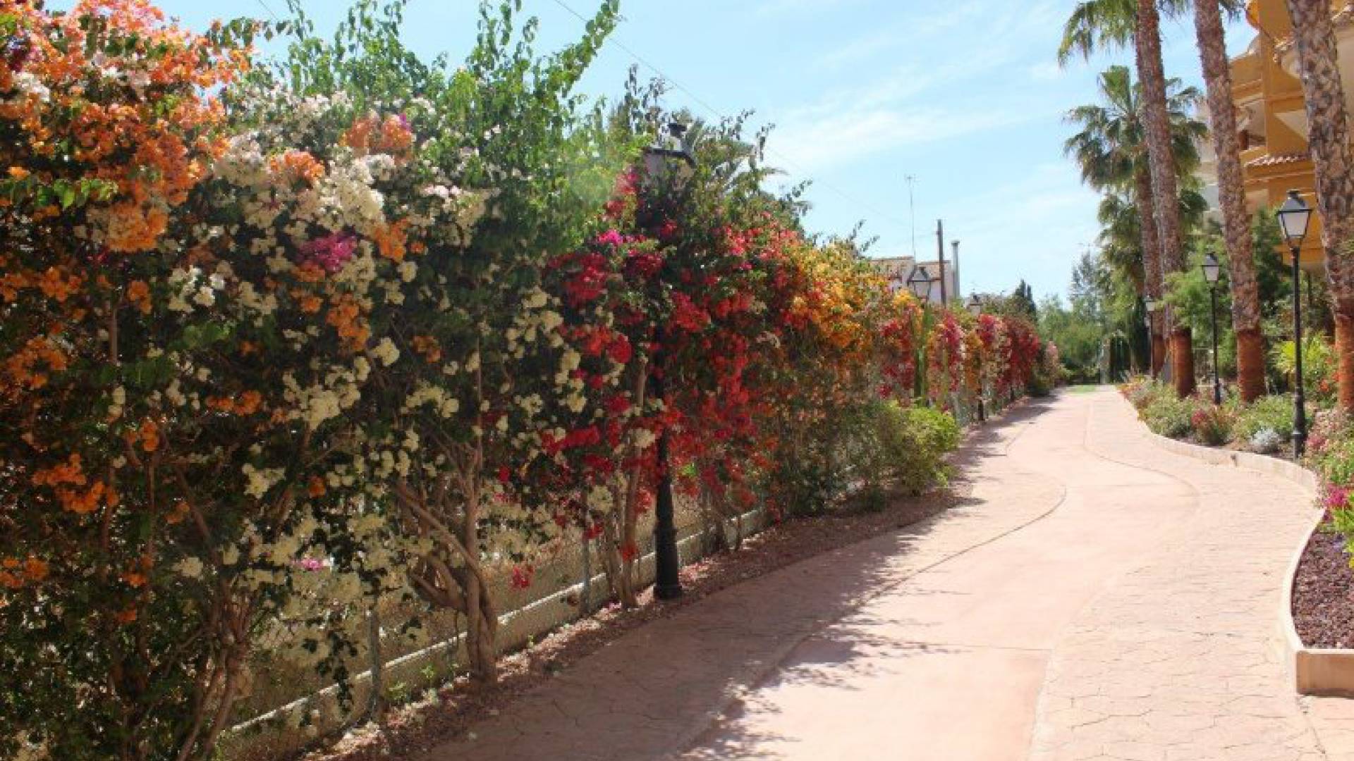 Resale - Apartment - Punta Prima - panorama park