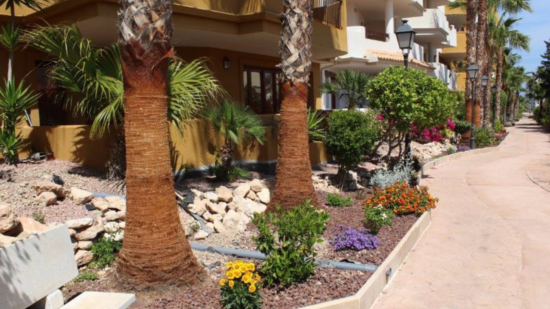 Resale - Apartment - Punta Prima - panorama park