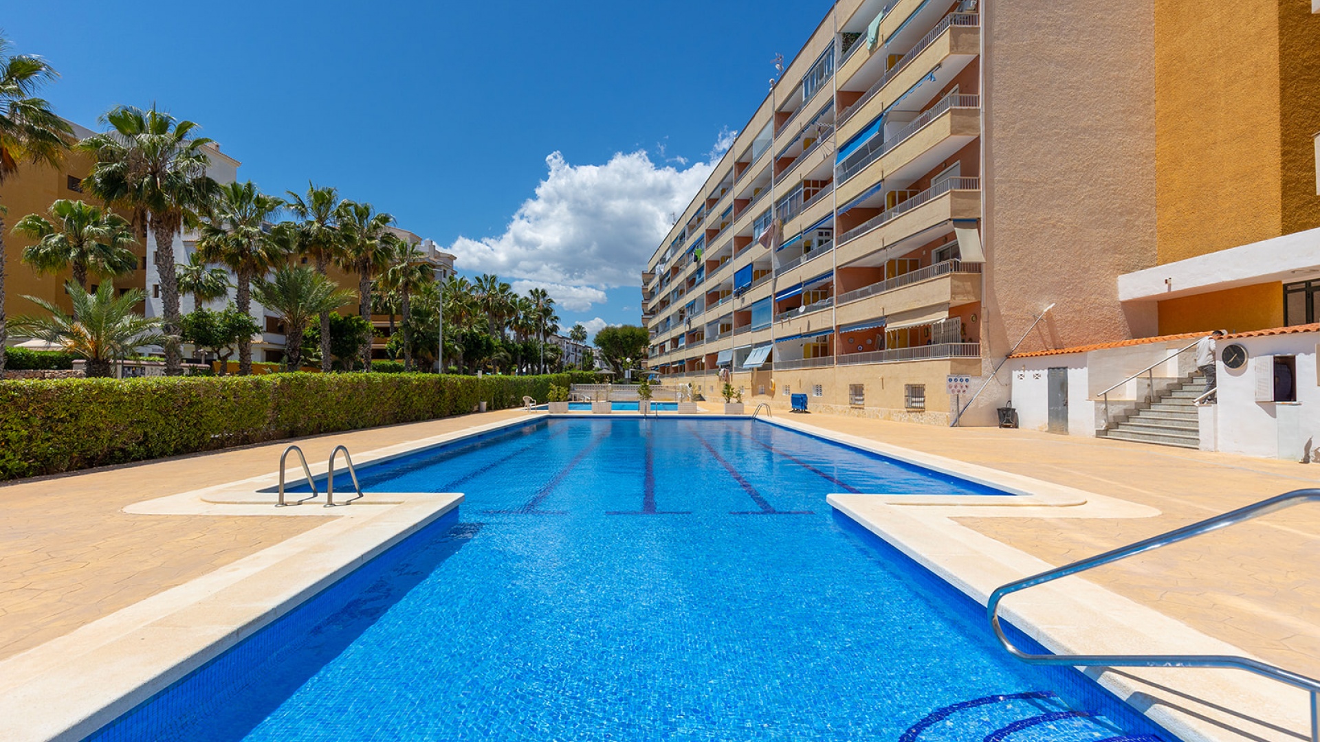 Resale - Apartment - Punta Prima - rocio del mar