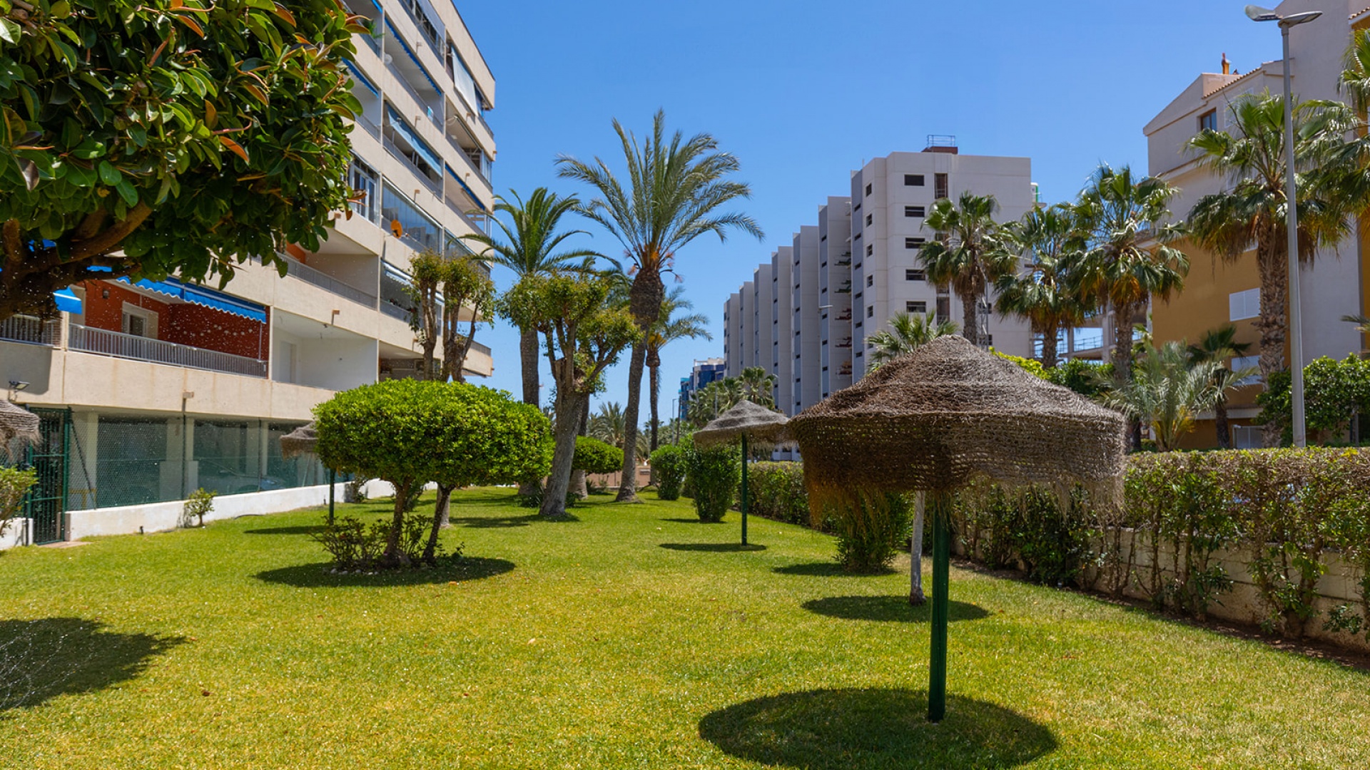 Resale - Apartment - Punta Prima - rocio del mar