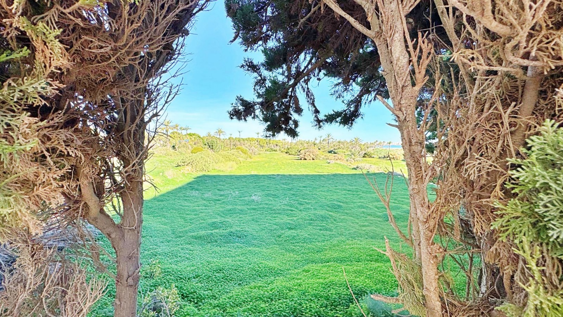 Resale - Apartment - Punta Prima - rocio del mar