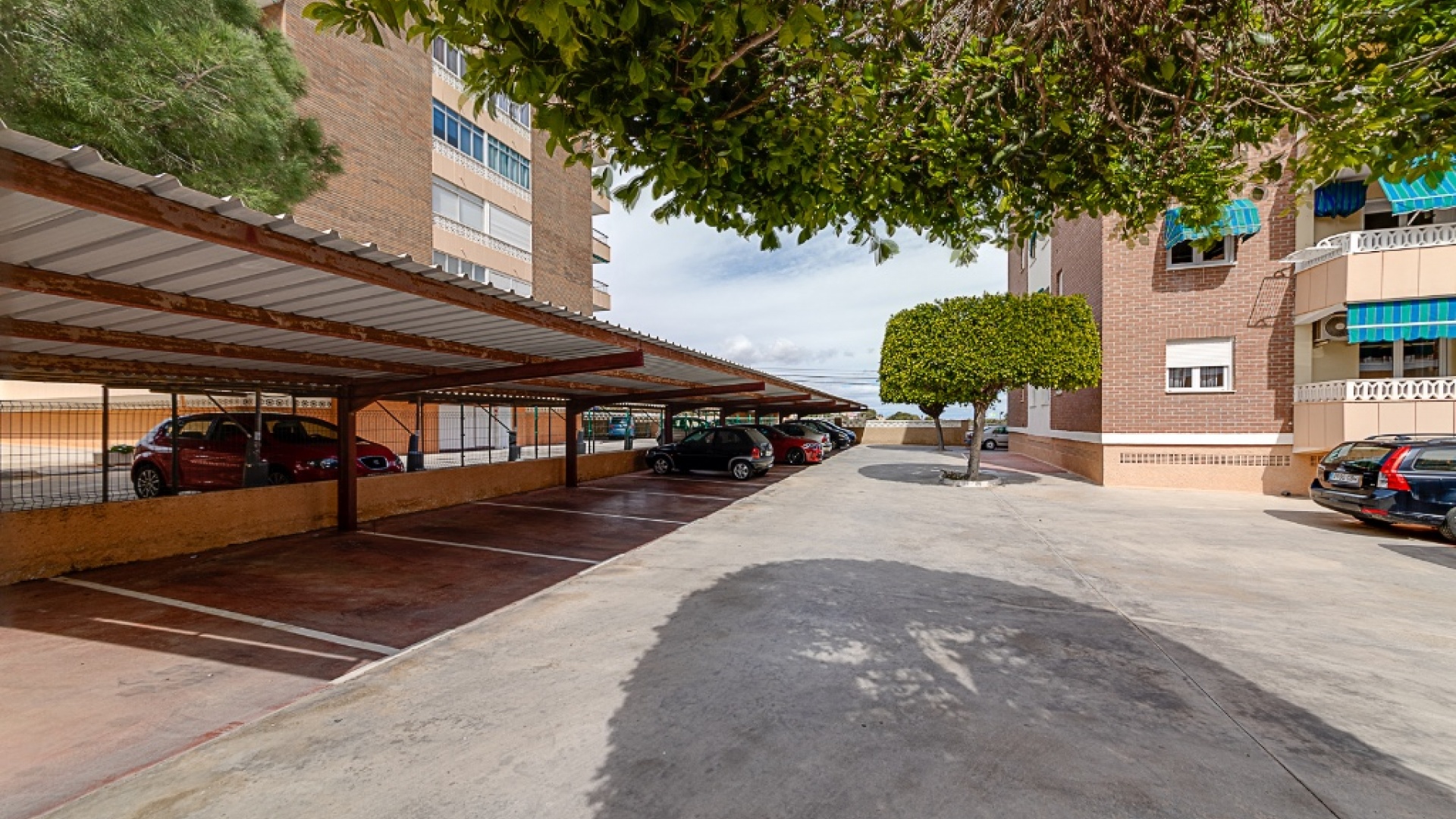 Resale - Apartment - Punta Prima - rocio del mar