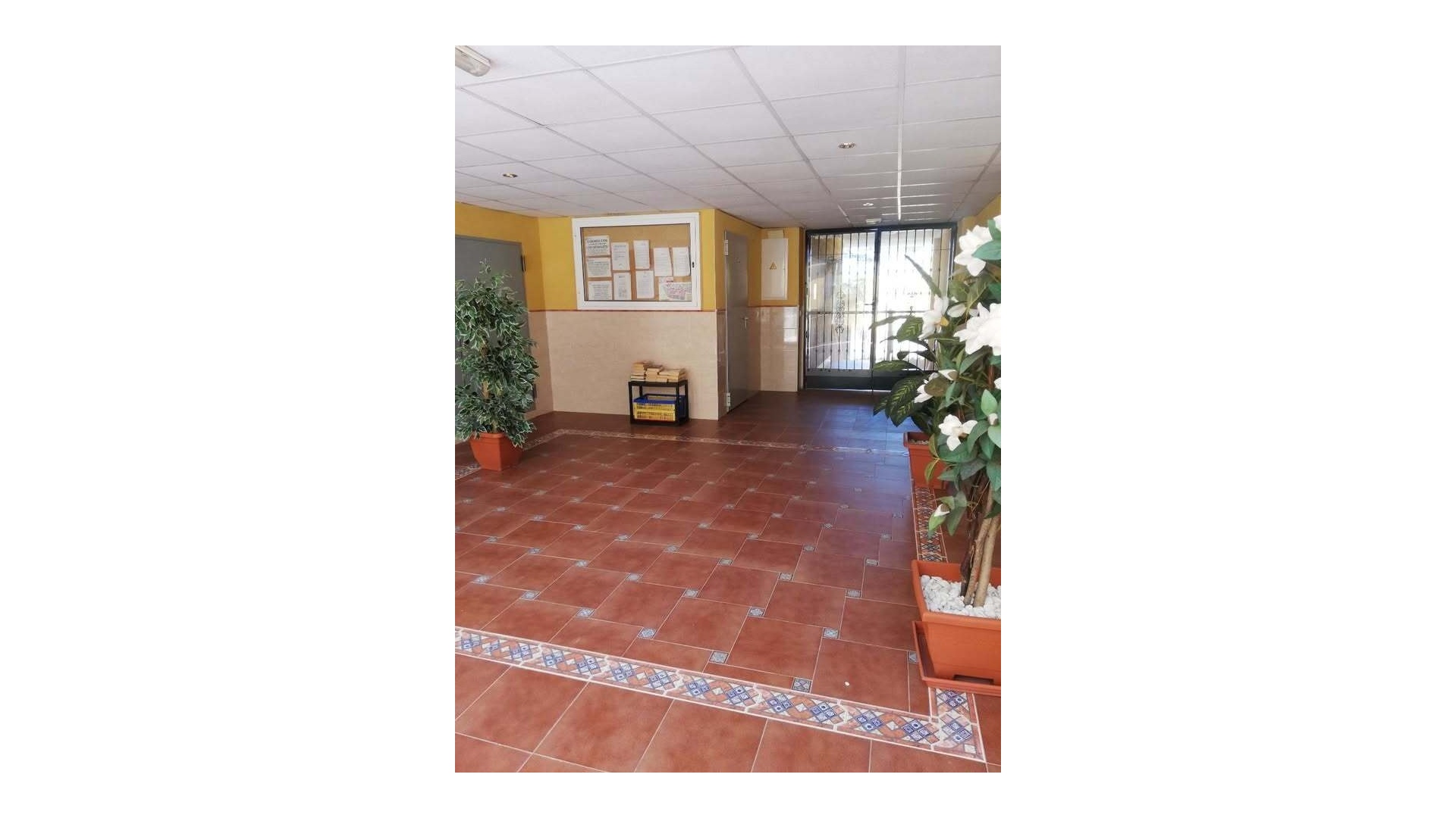 Resale - Apartment - Rafal