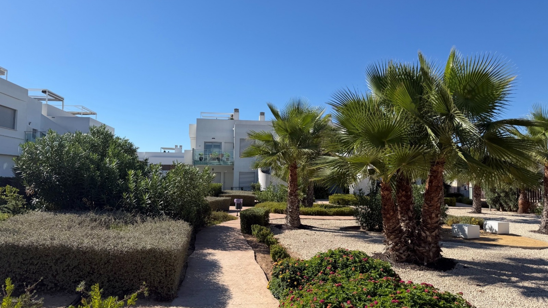 Resale - Apartment - San Miguel de Salinas - Capri Apartments