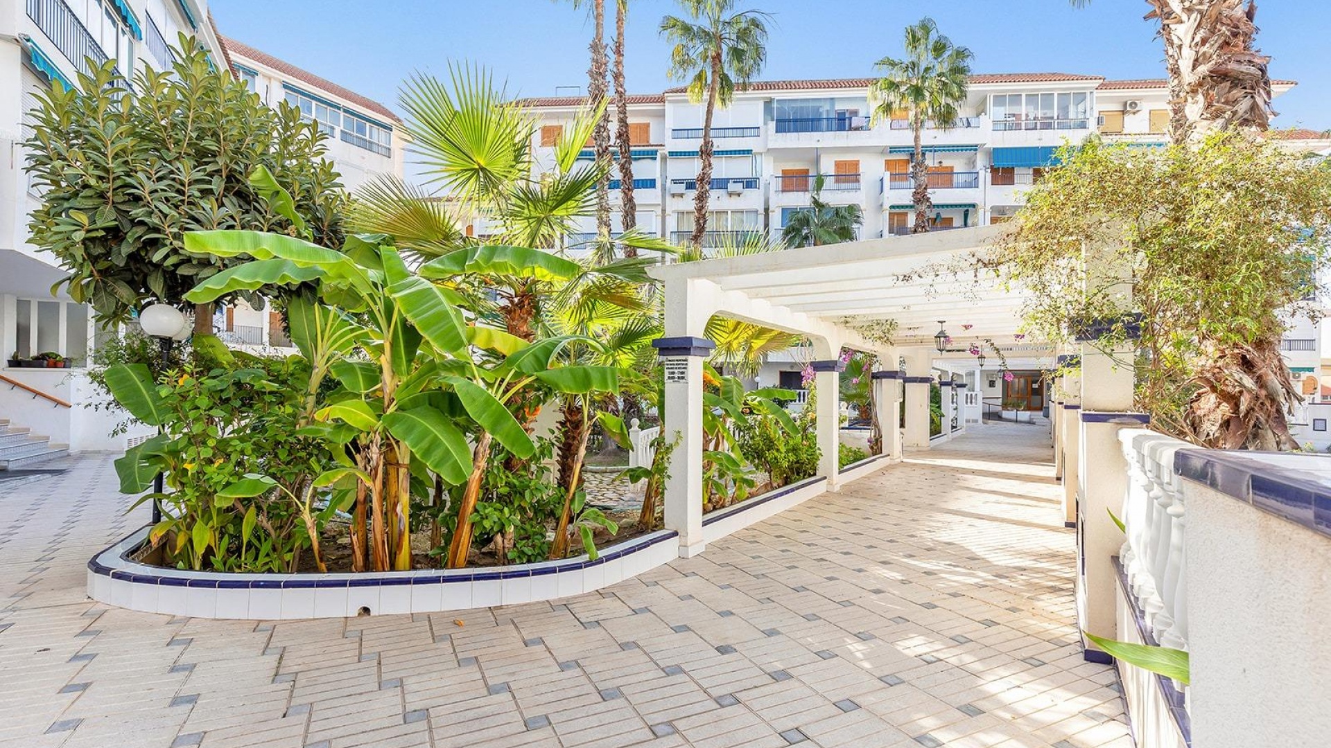 Resale - Apartment - Torrevieja - Beachside Torrevieja