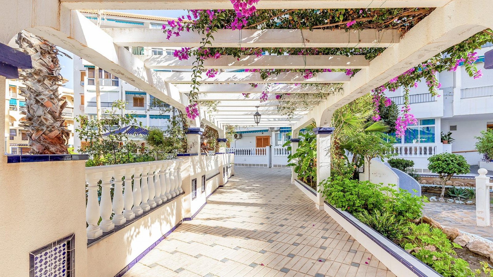 Resale - Apartment - Torrevieja - Beachside Torrevieja