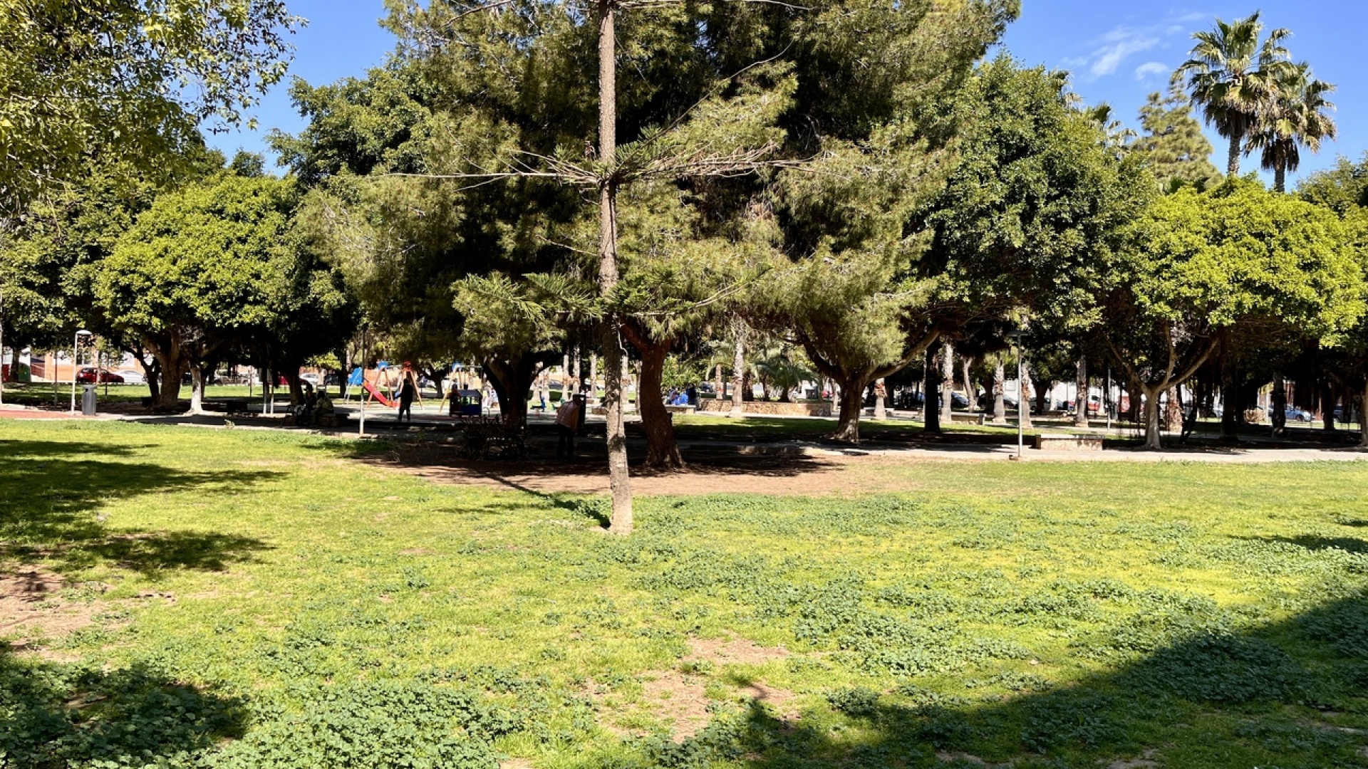 Resale - Apartment - Torrevieja - Beachside Torrevieja