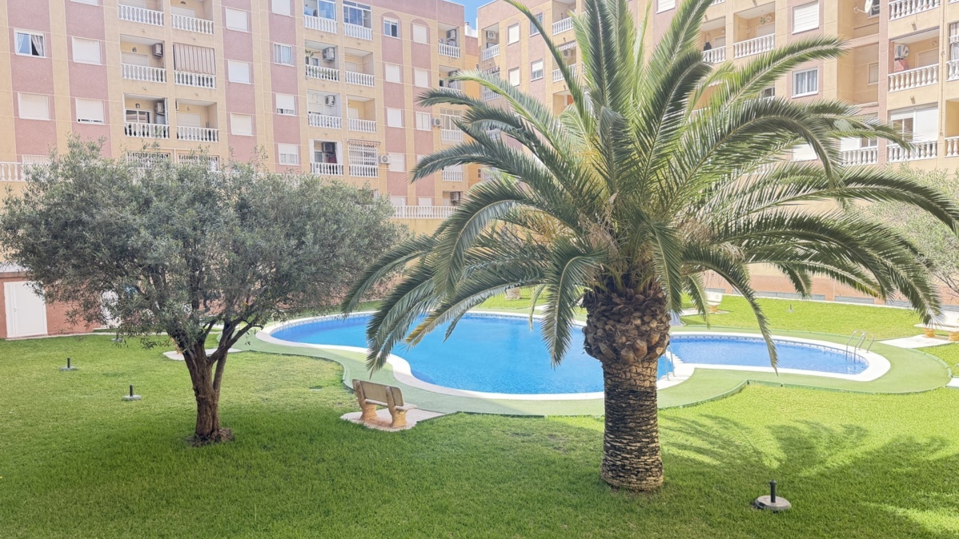 Resale - Apartment - Torrevieja - Beachside Torrevieja