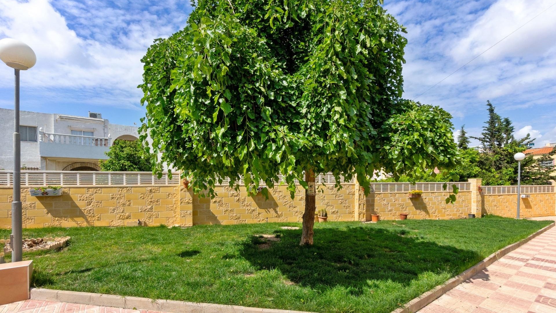 Resale - Apartment - Torrevieja - el chaparral