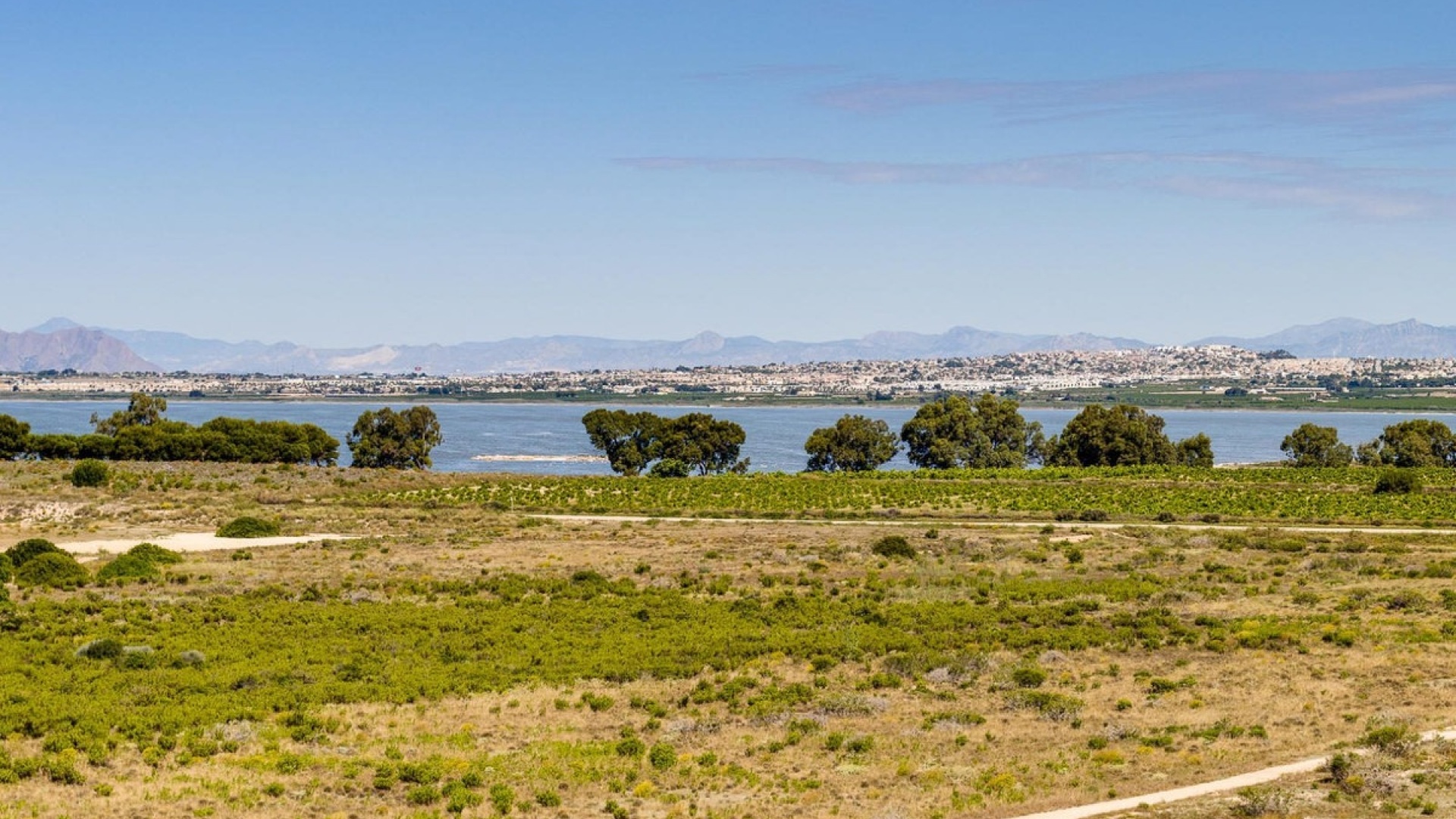 Resale - Apartment - Torrevieja - Jardin del Mar