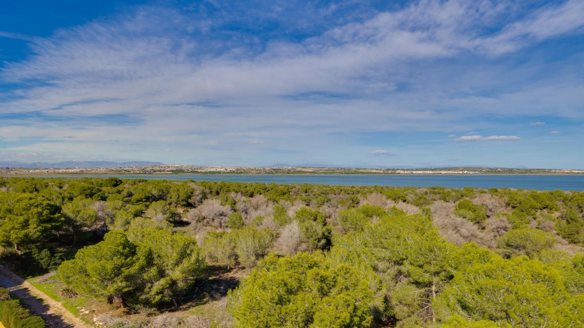 Resale - Apartment - Torrevieja - san luis