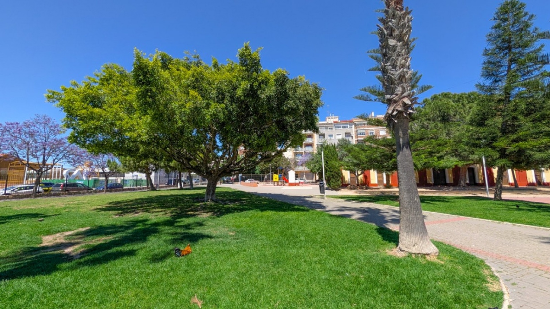 Resale - Apartment - Torrevieja - Torrevieja Centro