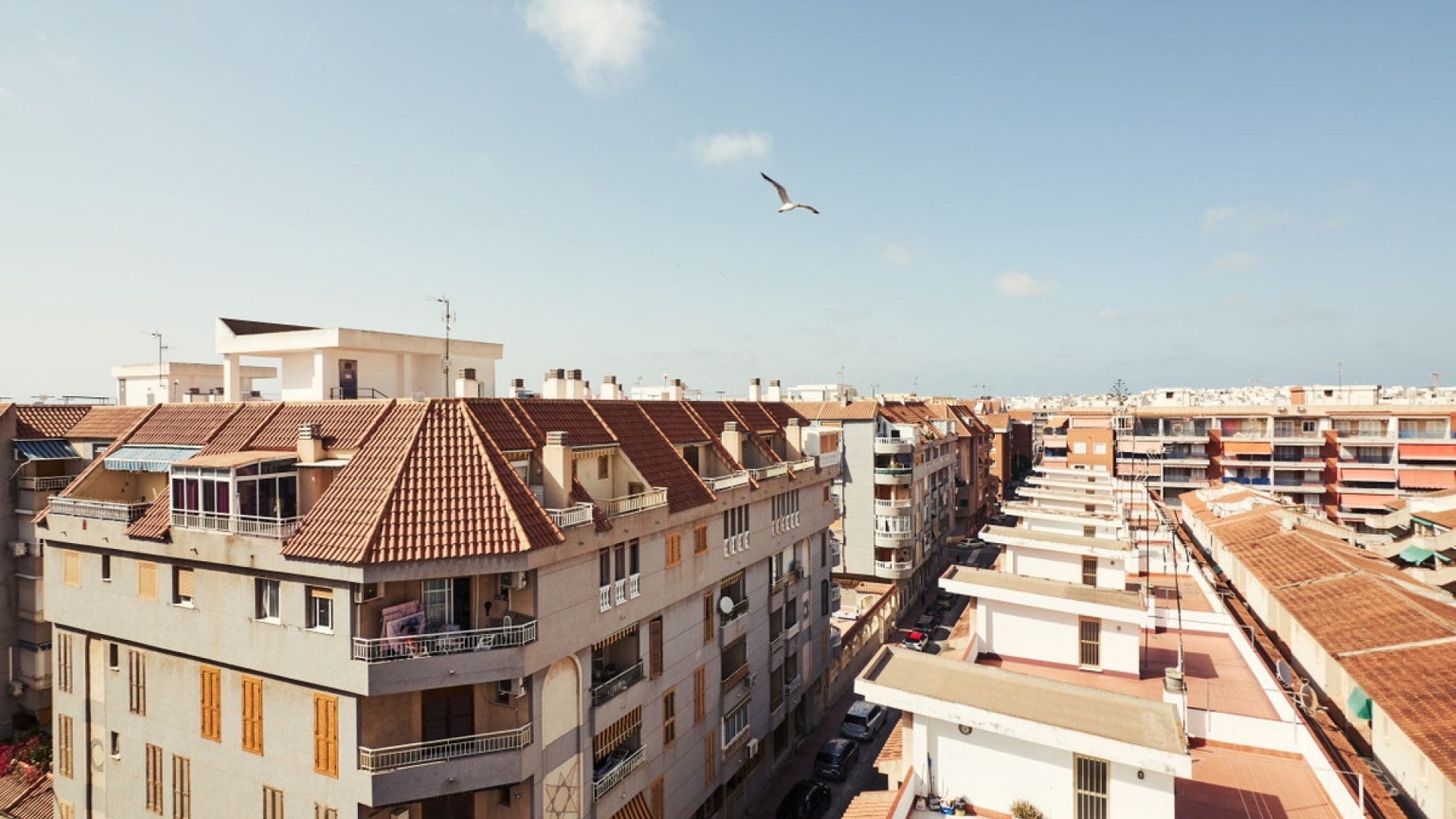 Resale - Apartment - Torrevieja - Torrevieja Centro