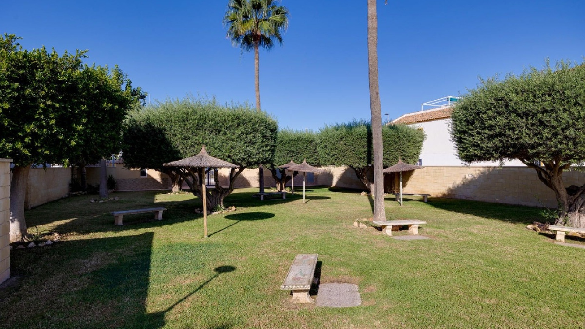 Resale - Apartment - Torrevieja - Torrevieja Centro