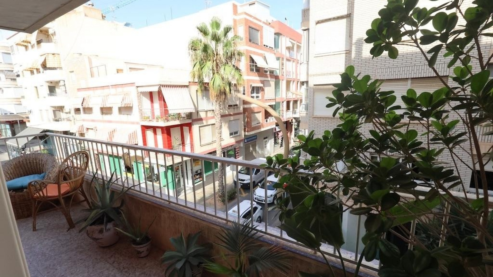 Resale - Apartment - Torrevieja - Torrevieja Centro