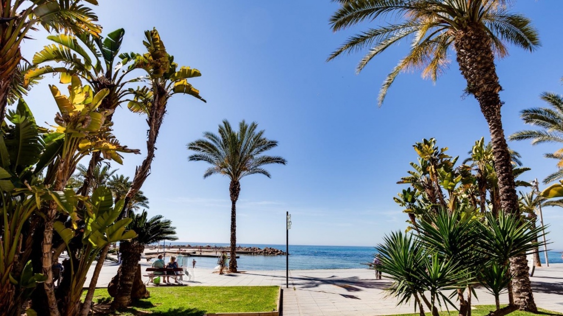 Resale - Apartment - Torrevieja