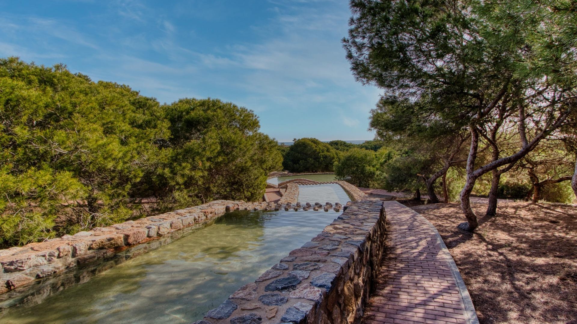 Resale - Bungalow - Torrevieja - parque del naciones