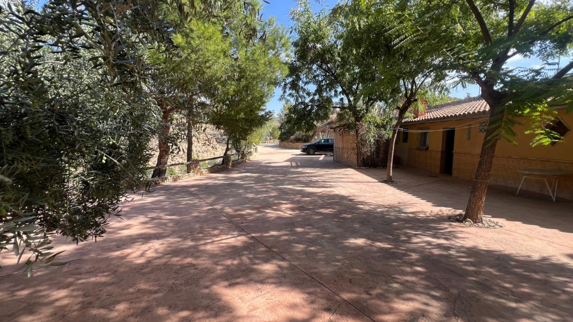 Resale - Commercial - Abanilla - Abanilla Centro