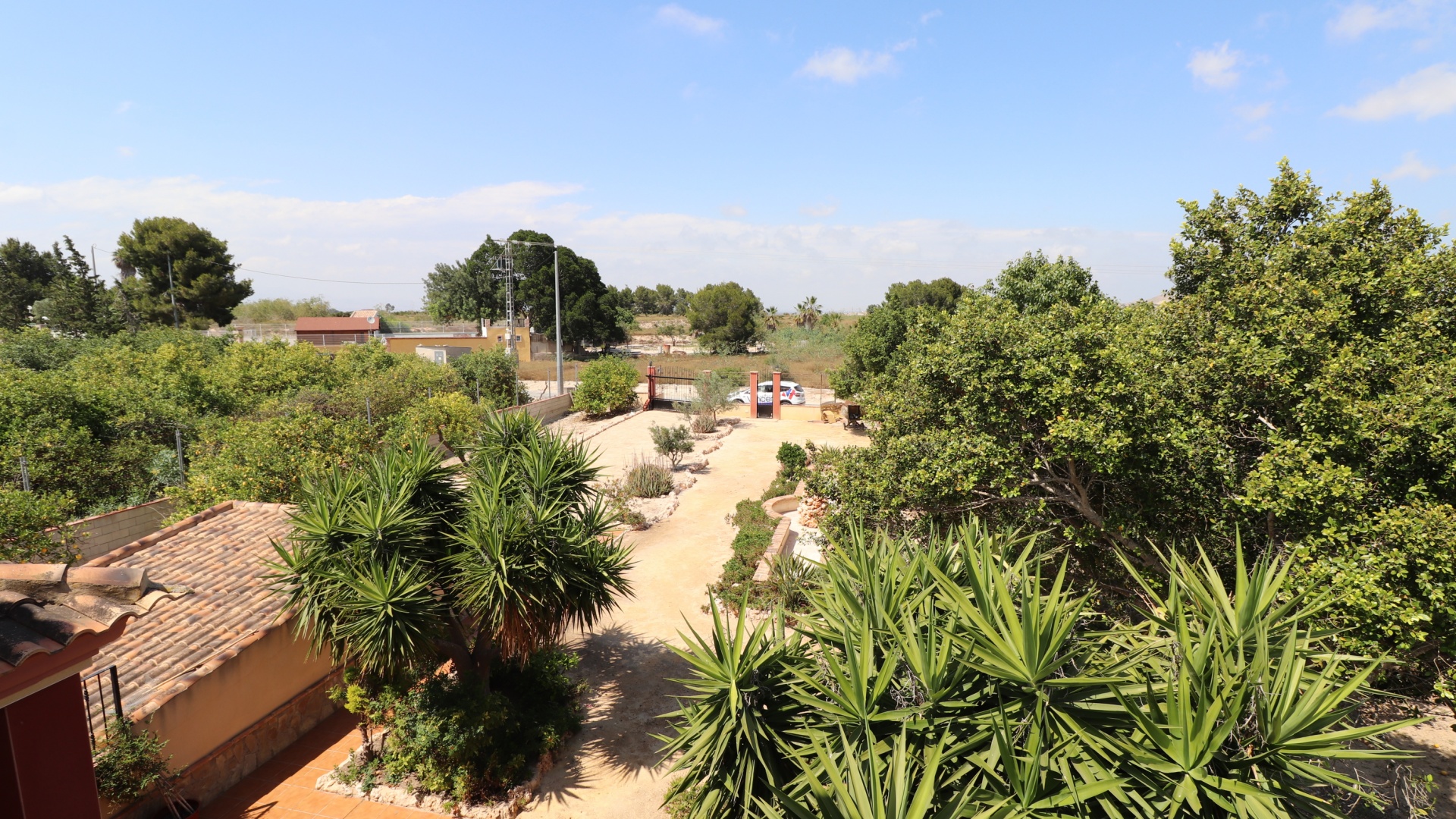 Resale - Country Property - Algorfa - Algorfa - Country