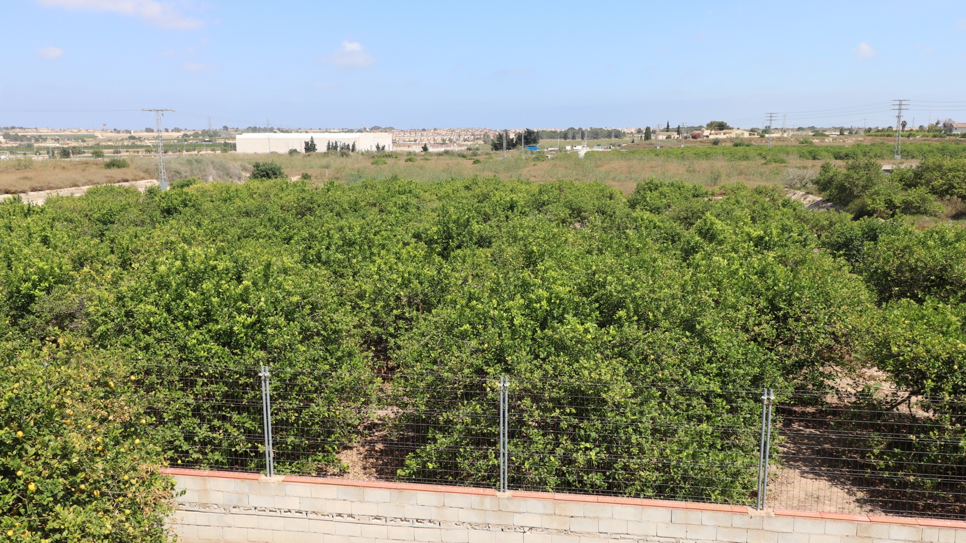 Resale - Country Property - Algorfa - Algorfa - Country