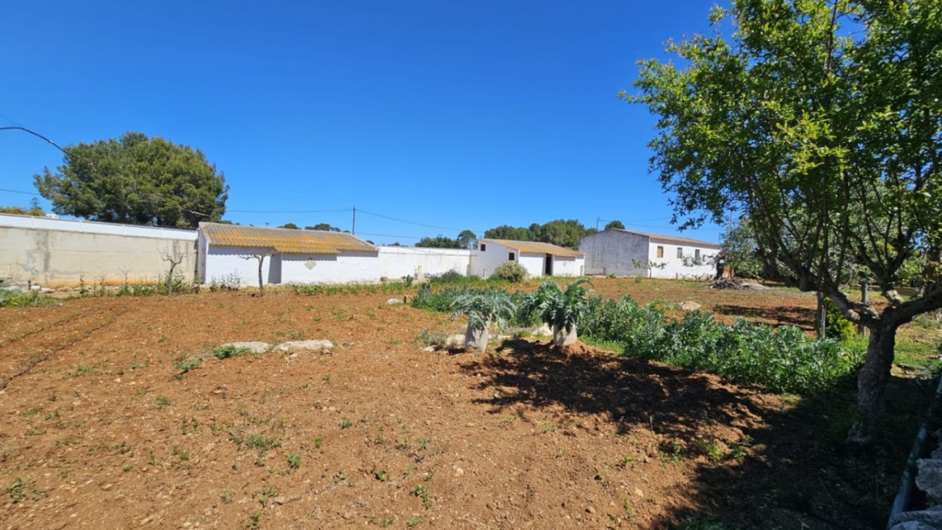 Resale - Country Property - Denia - Denia Centro