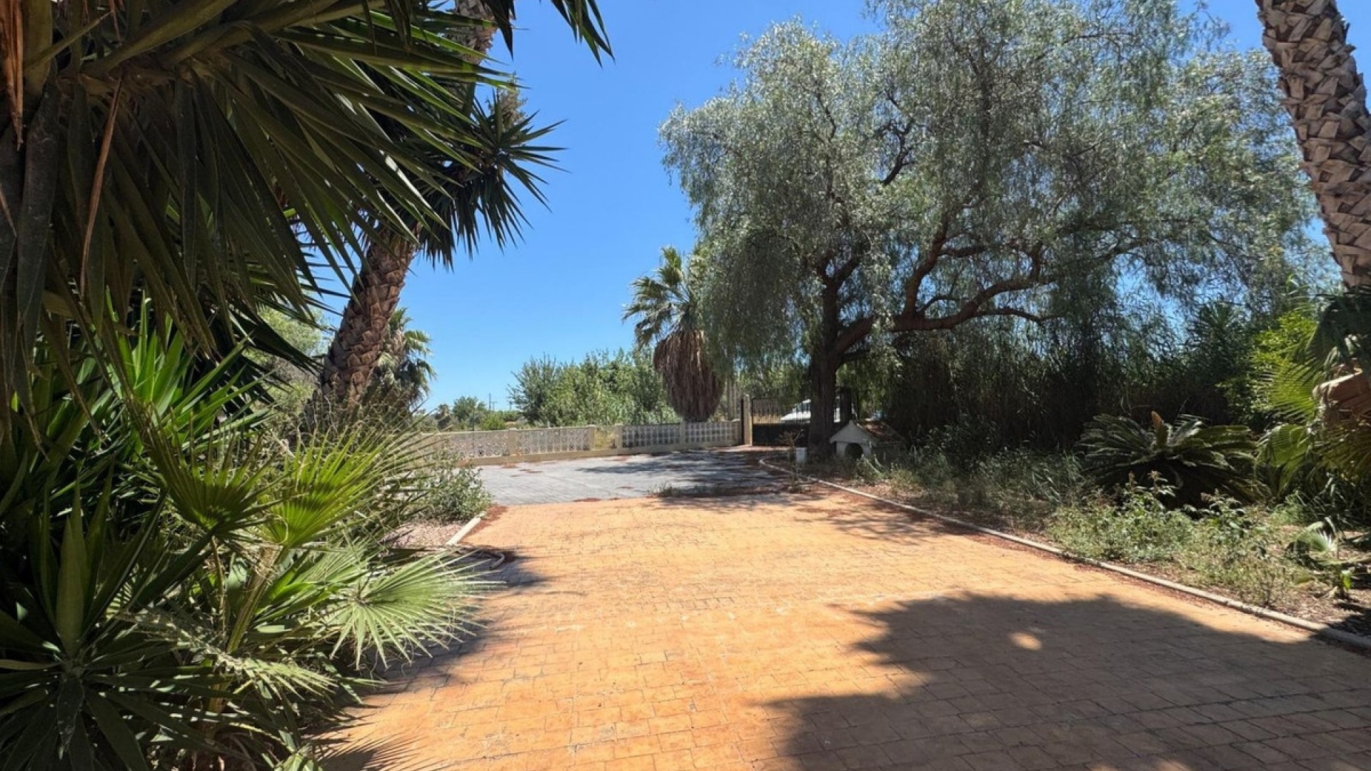 Resale - Country Property - Dolores - Dolores Centro