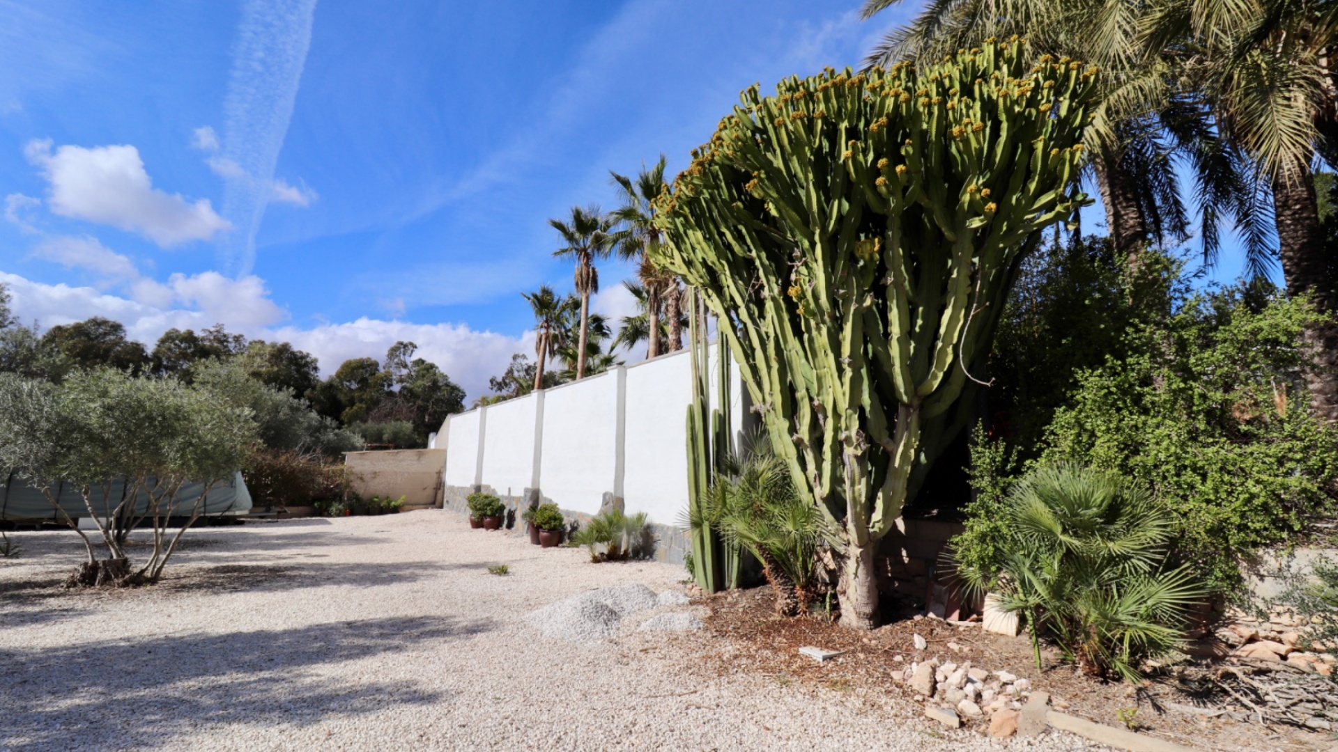 Resale - Country Property - El Altet