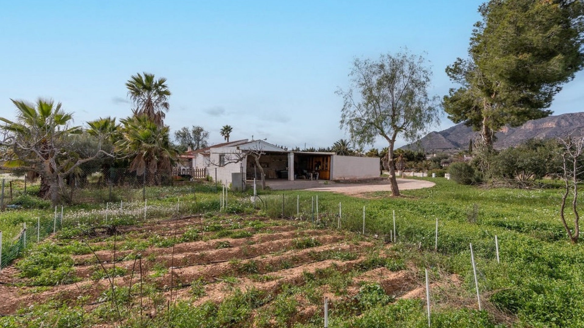 Resale - Country Property - Hondón de las Nieves - Hondón de las Nieves Centro