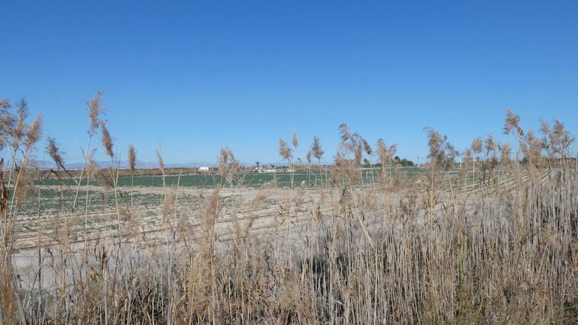 Resale - Country Property - La Marina