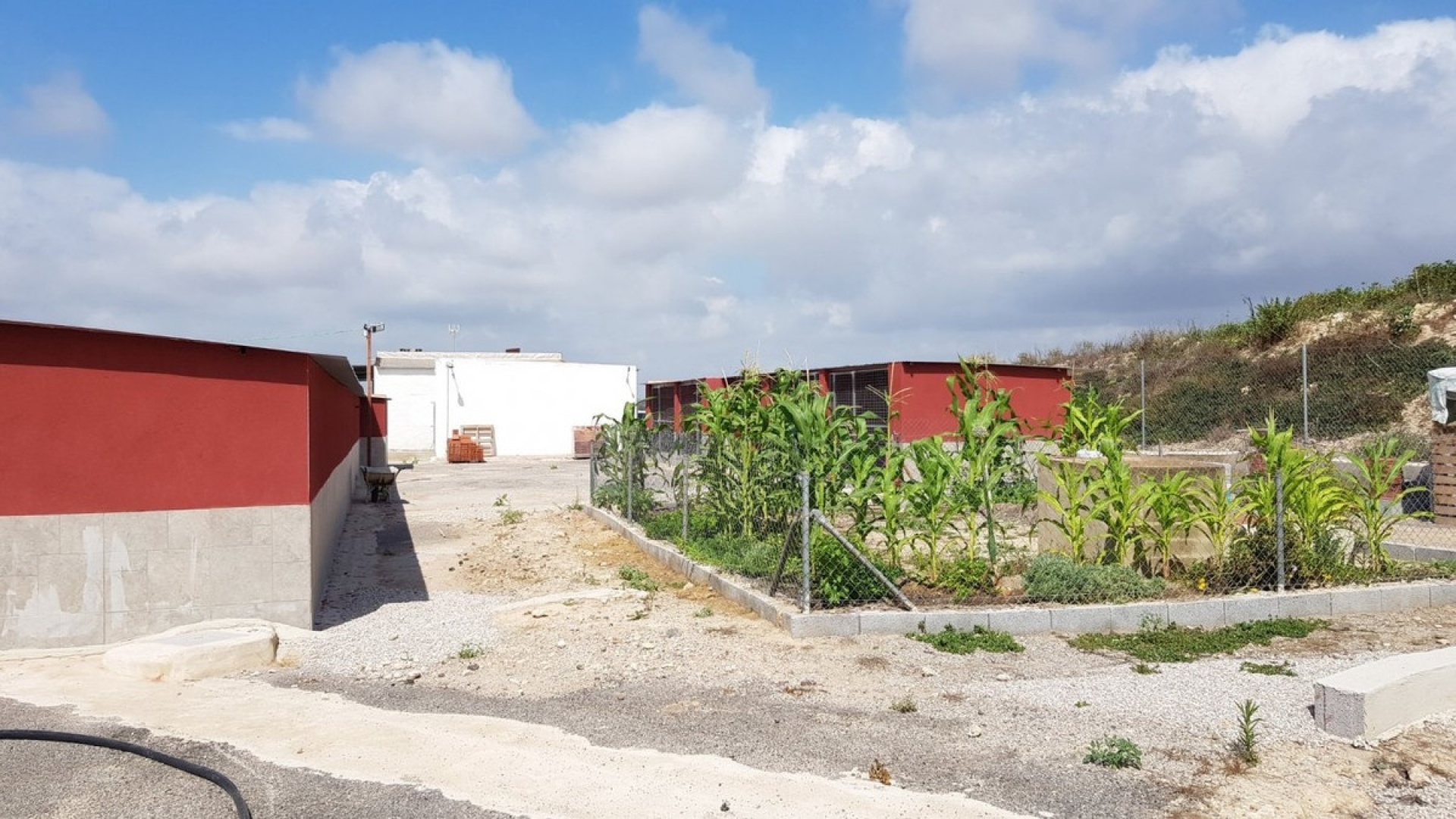 Resale - Country Property - Los Montesinos - Los Montesinos Centro