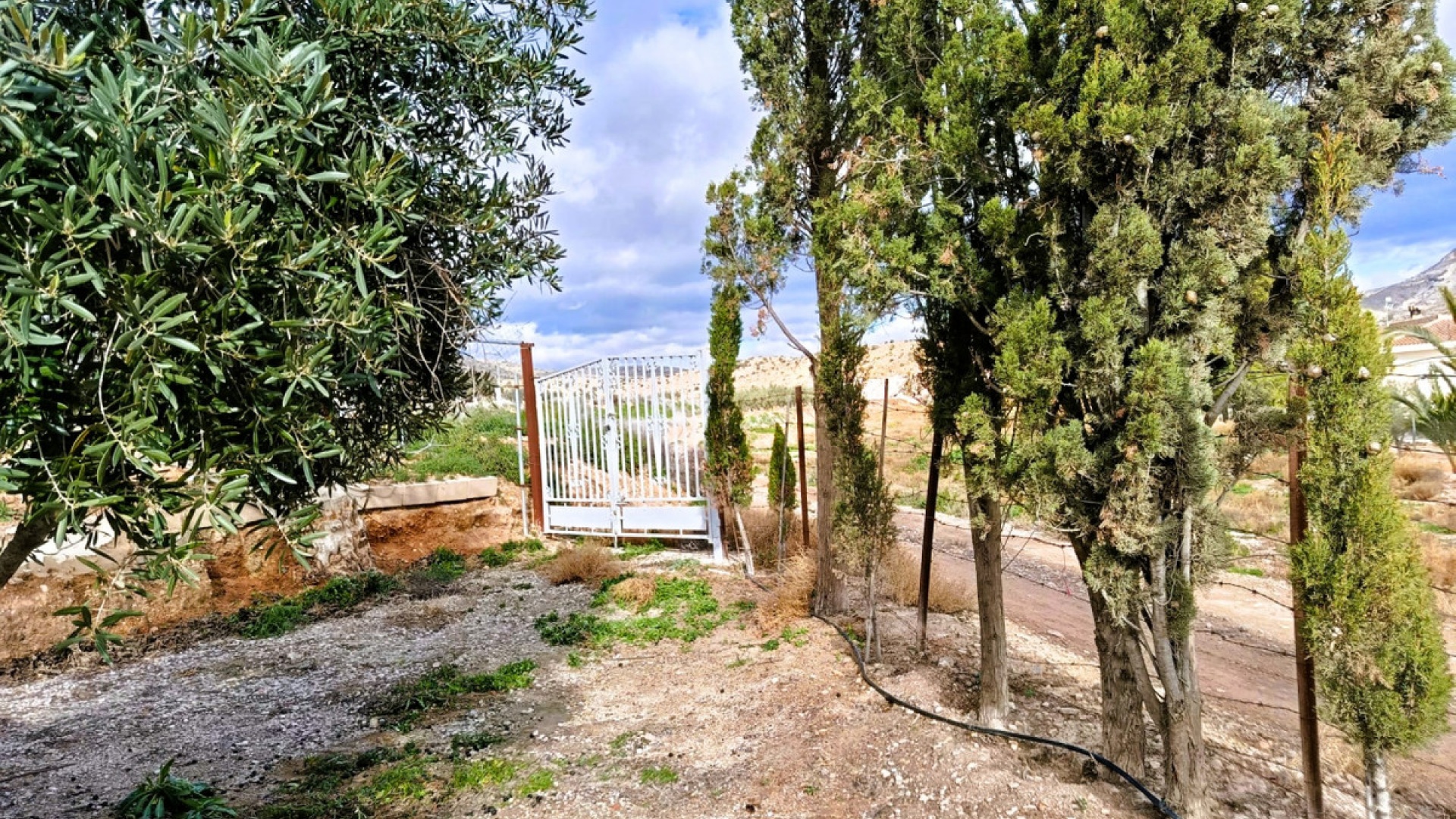 Resale - Country Property - Novelda - Novelda Centro