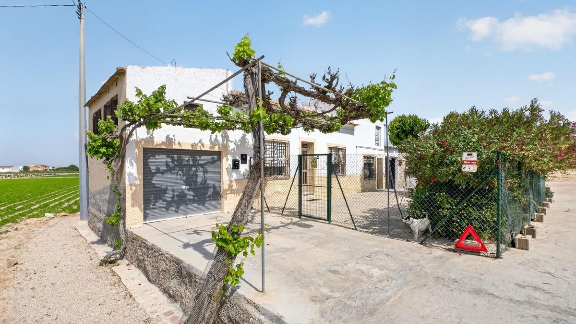 Resale - Country Property - Orihuela - Orihuela Centro