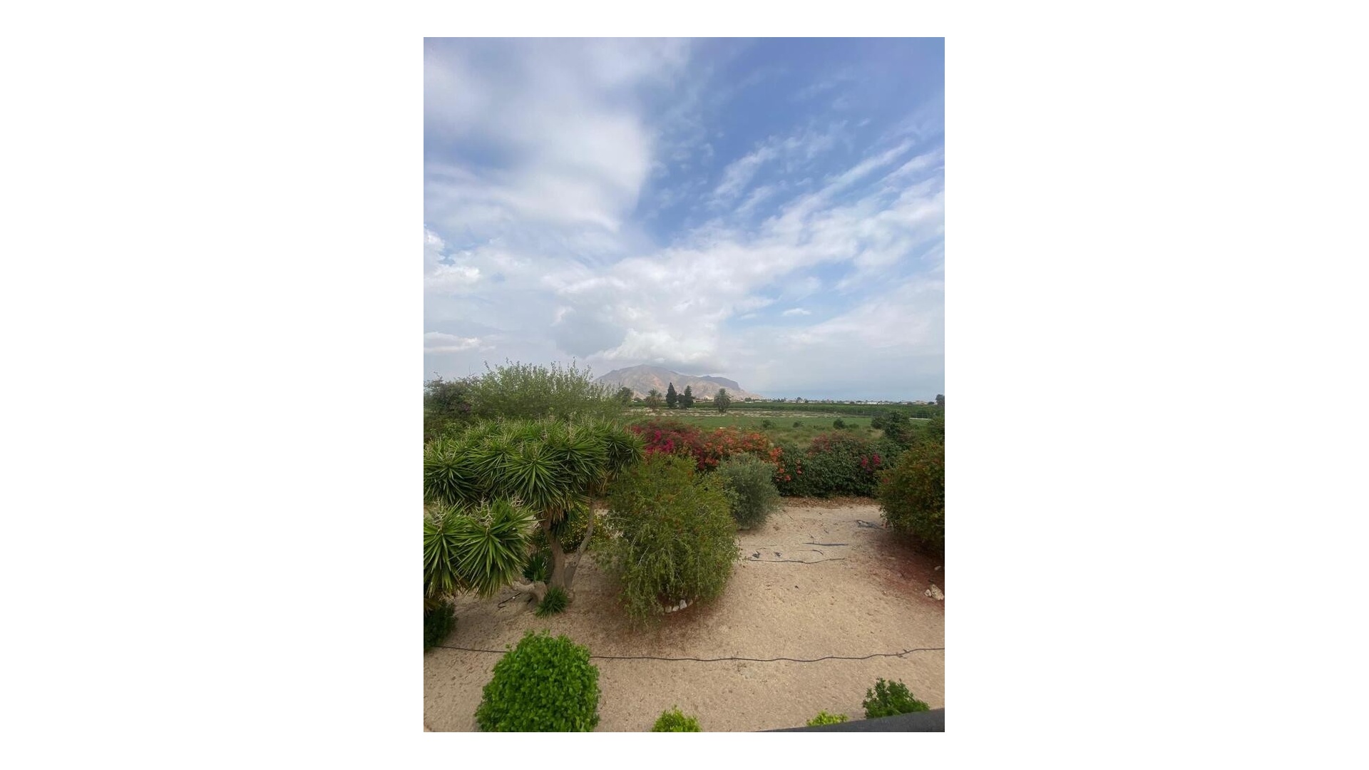 Resale - Country Property - Orihuela - Orihuela Centro