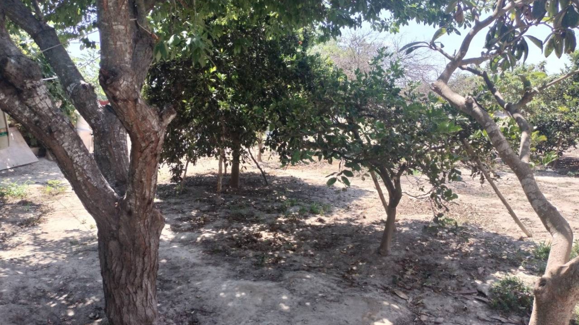 Resale - Country Property - Rojales - Cuidad Quesada