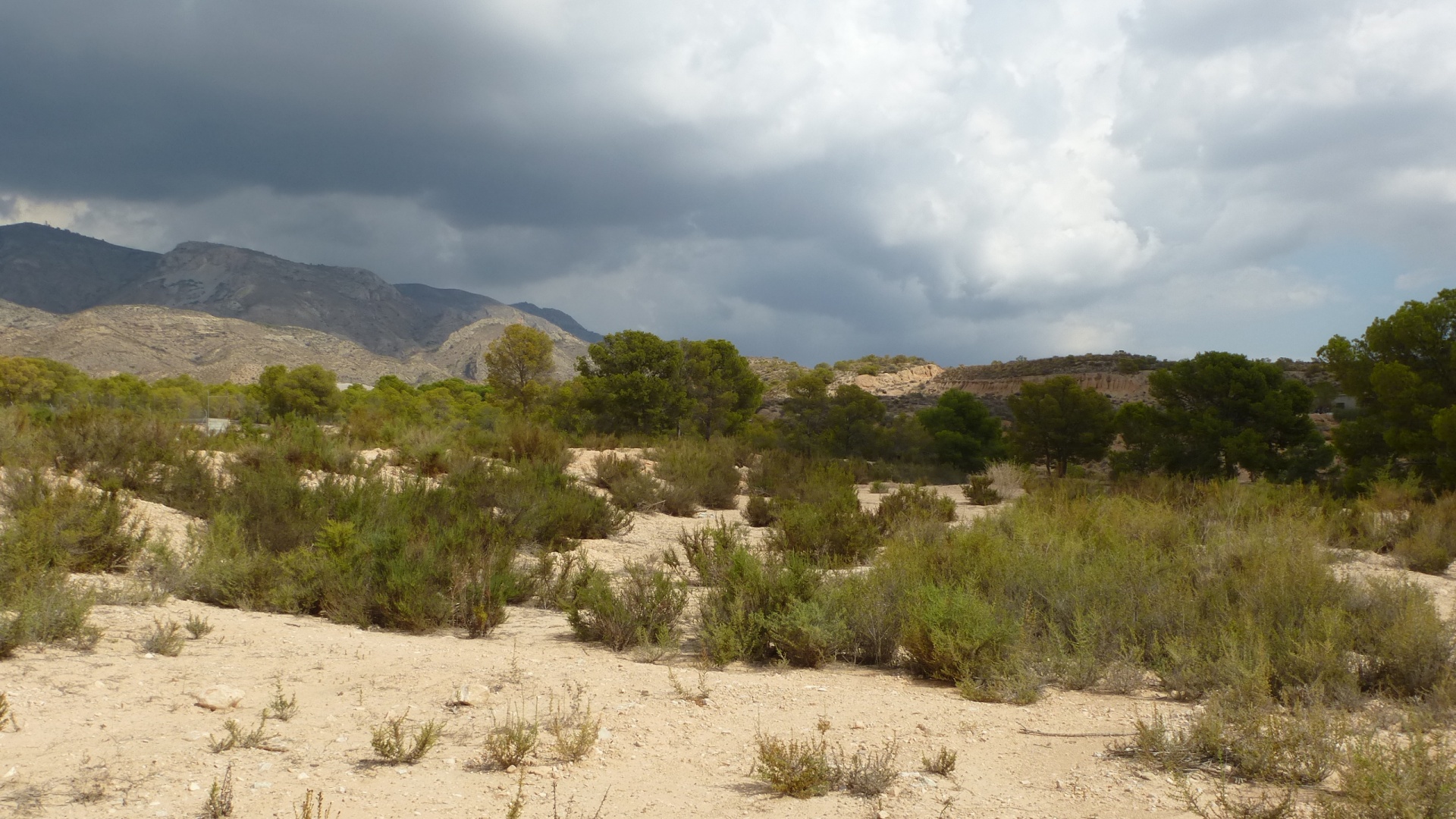 Resale - Land - Crevillente - Crevillente - Country