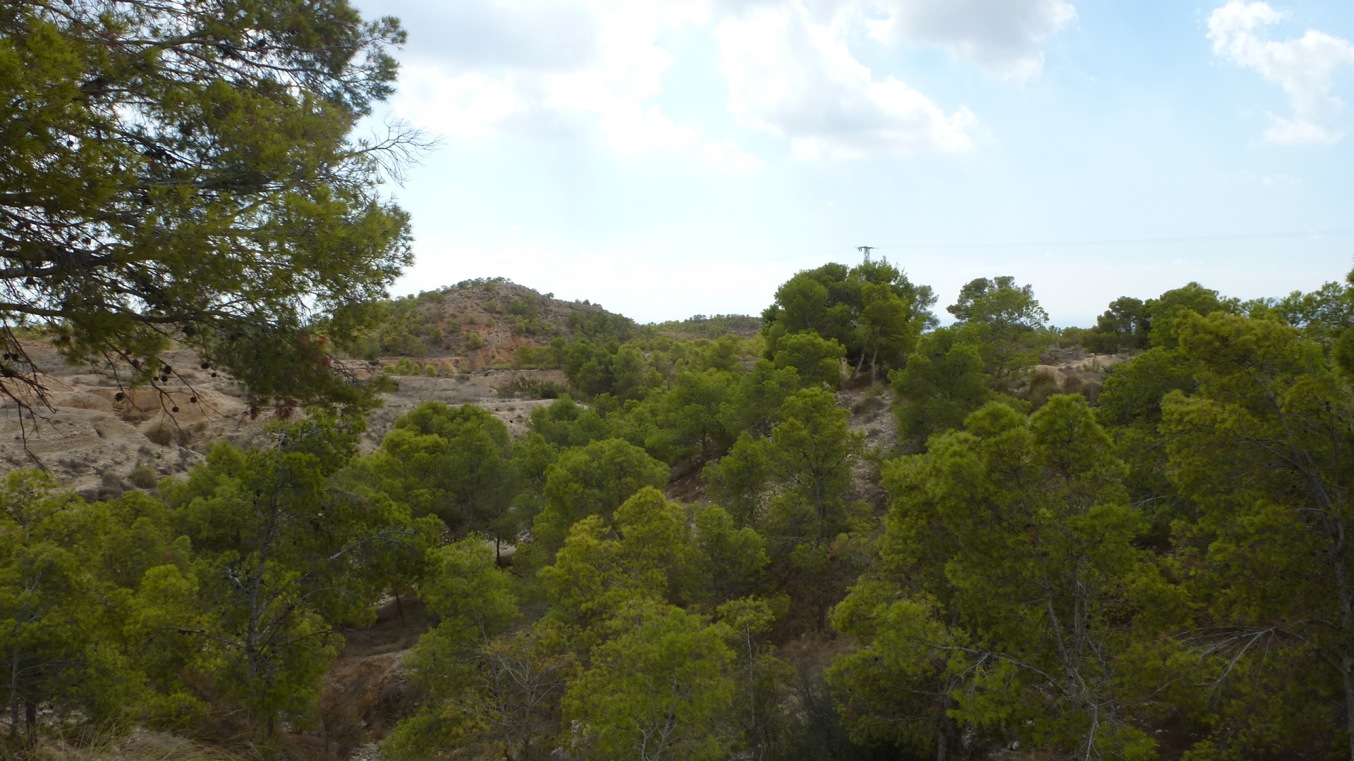 Resale - Land - Crevillente - Crevillente - Country