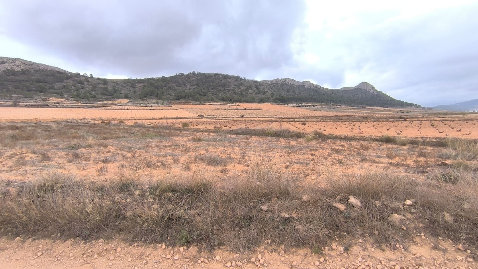 Resale - Land - Jalon - La Solana