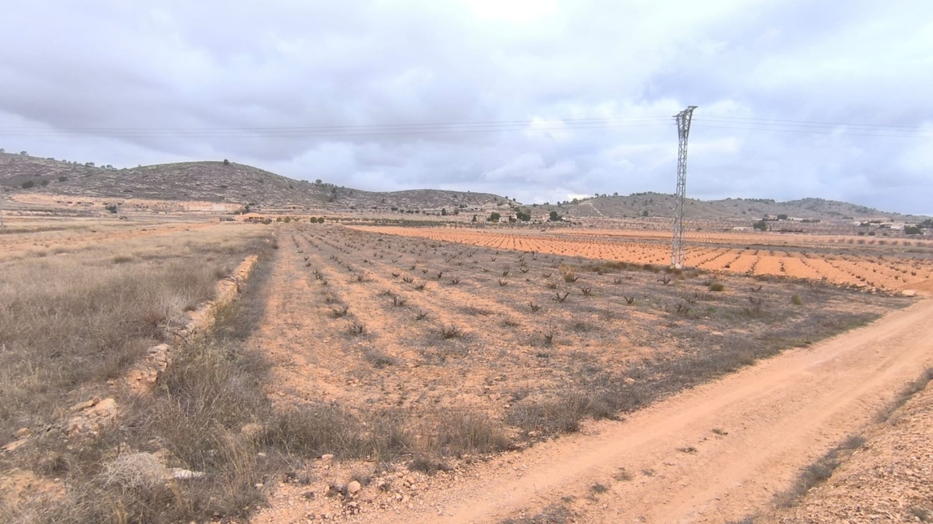 Resale - Land - Jalon - La Solana