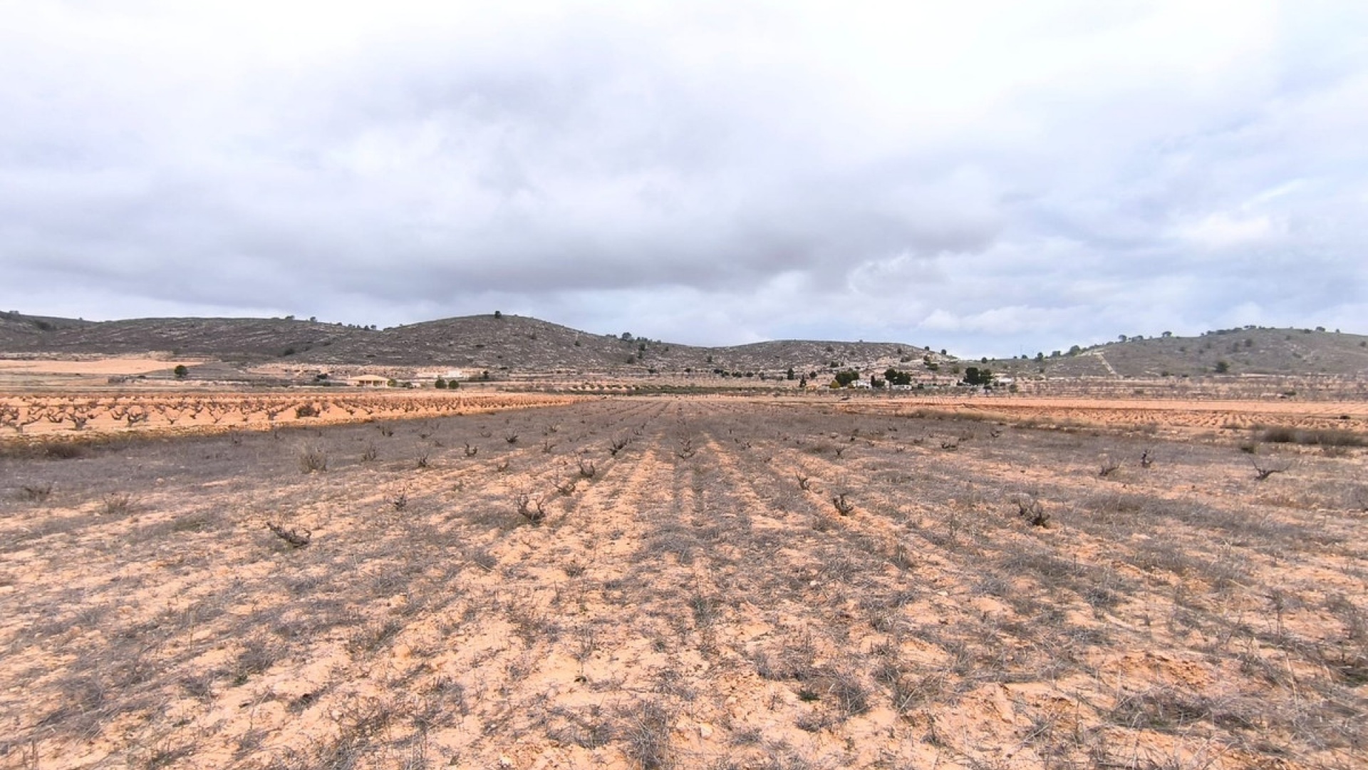 Resale - Land - Jalon - La Solana