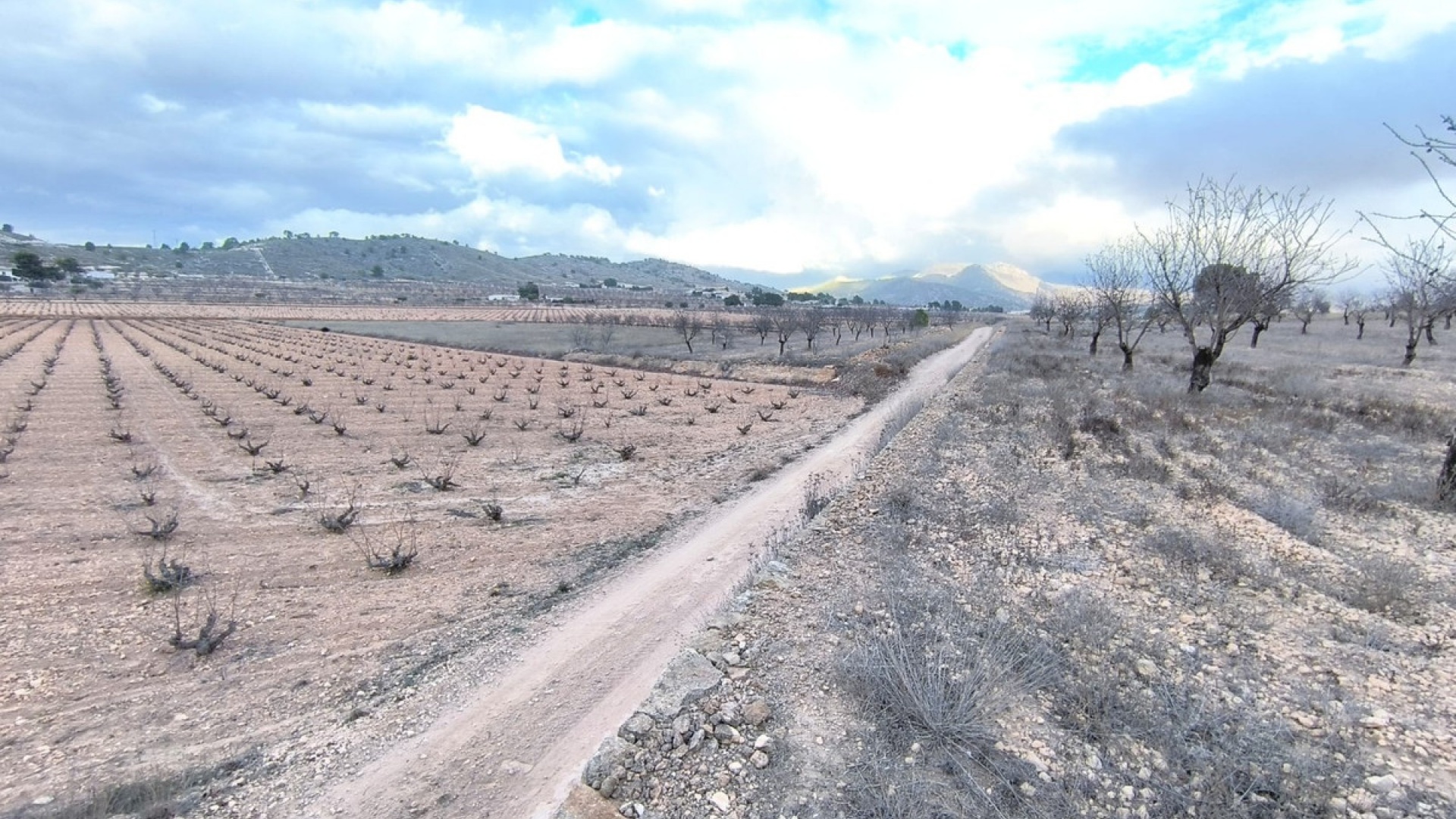 Resale - Land - Jalon - La Solana